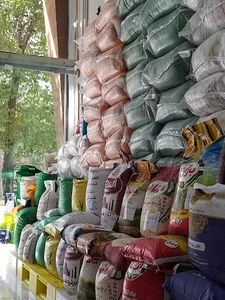 برنج سرای شاهین طلایی