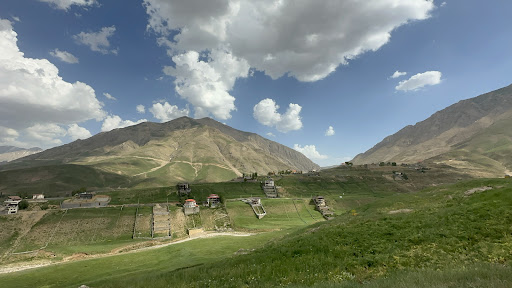 زنبور چشمه