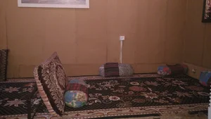 کافه شبانه