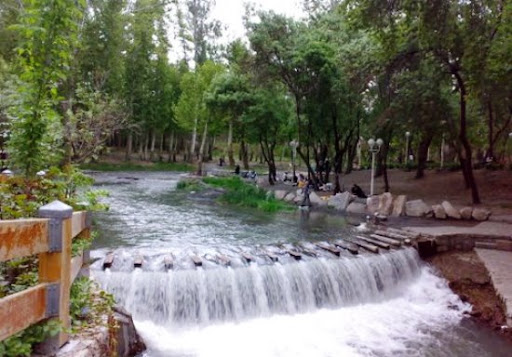 بوستان جنگلی وکیل آباد