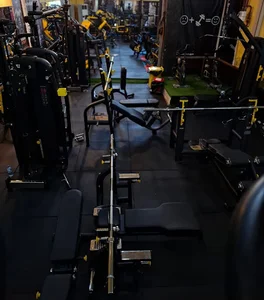 باشگاه بدن سازی نیروی برتر |Supreme Force Fitness Club