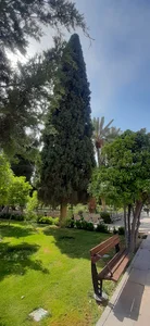 شیرازفارس