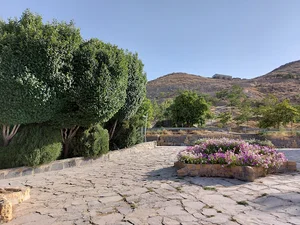 بوستان امیرکبی
