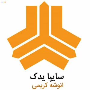 سایپا یدک انوشه کریمی