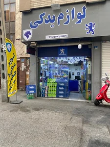پژو یدکی. لوازم یدکی و جانبی