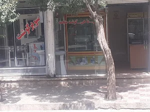 پروتیینی آریامهر