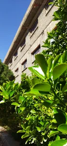💞خوابگاه فاطمه الزهرا دخترانه 💞تربت حیدریه💞