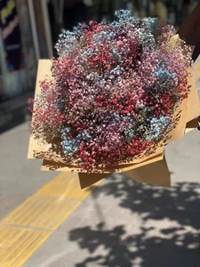 گل سرای تارا 3