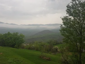 شهرداری بره سر