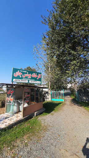 کارخانه چای یونس