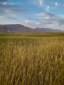 روستای دره زرین میربگ