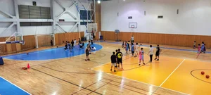 هیات بسکتبال آبیک