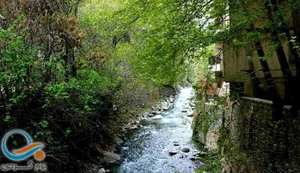 ساندویچی ناصر
