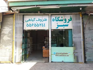ظروف یکبار مصرف سبز (گیاهی)