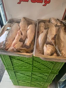 سوپر پروتئینی نمونه تهران 2