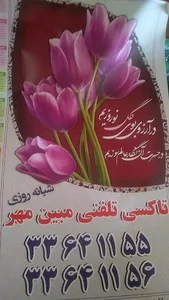 آژانس مبین مهر