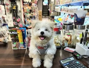 پت شاپ ظفر pet shop zafar