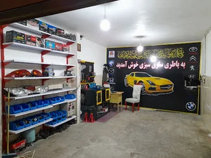 باطریسازی رضاسبزی