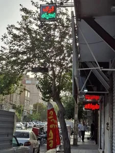 ترک اعتیاد سپیده 4