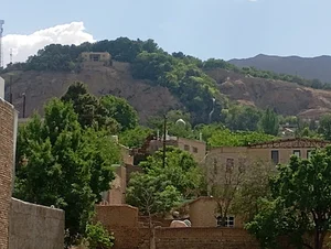 نیاسر گلاب زرین (اسلامی)