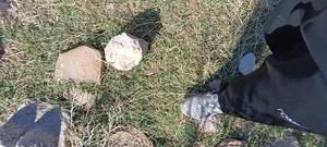 زنبور داری آرش شهسواری گله زن