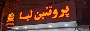 پروتئین لیا 2
