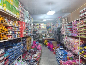 اسباب بازی روئین