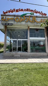 سالاد کده سون شعبه امیرکبیر