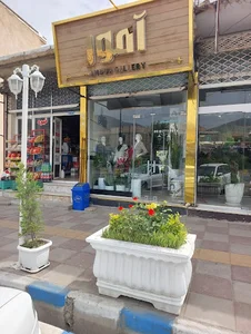 گالری آمور