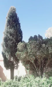 Zoroastrian Fire Temple of Mazraeh-ye Kalantar