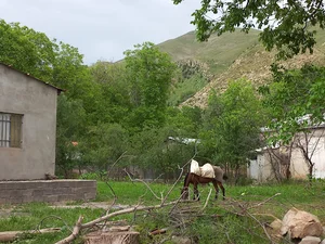 روستای آوه