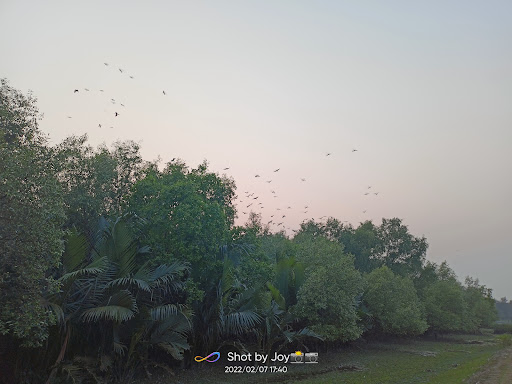 তৃষ্ণার কূল