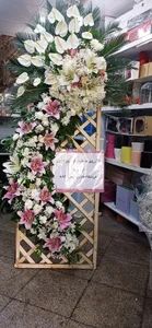 گلسرای آمالیس 2