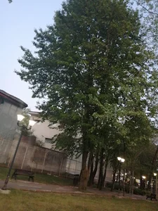 Narvan 1 park