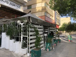 کافه رویال