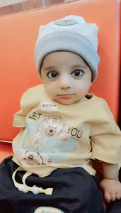 شرکت دیپلمات