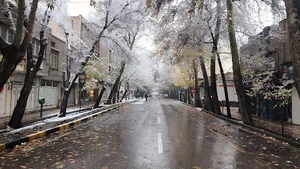 گالری متین