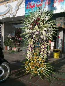 گلفروشی گل افروز