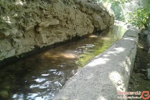 لبنیات محلی نمونه