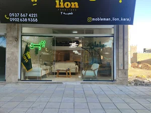 Furniture Lion 2