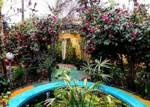 خانه زیبا فومن 2