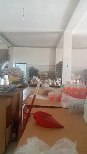 گل آفتاب
