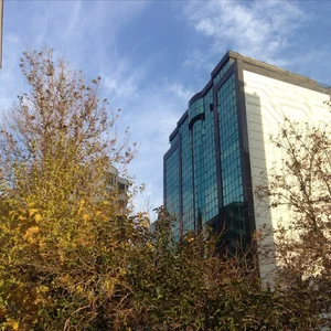 ایرانیان پیشرو پارس