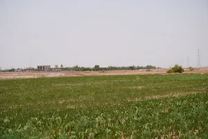 شرکت کشت و صنعت کوثر ایساتیس