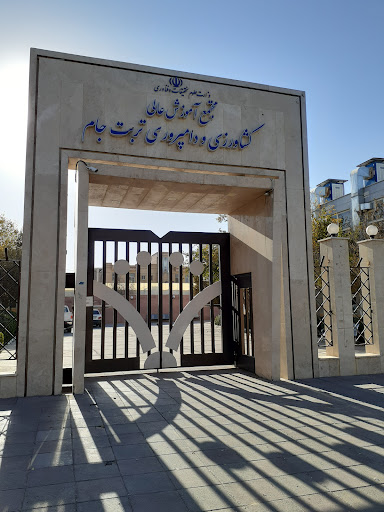 مجتمع آموزش عالی تربت جام (دانشگاه دولتی)