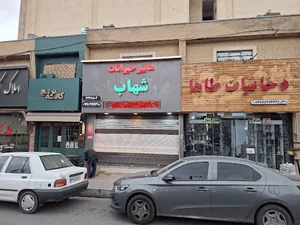 هایپر حیوانات شهاب