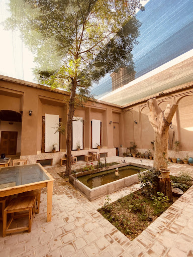 بومگردی کهنه درخت
