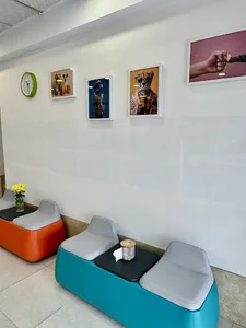 Renisa pet clinic | کلینیک دامپزشکی رنیسا