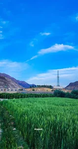 باغ سب حاجی محمد نظر