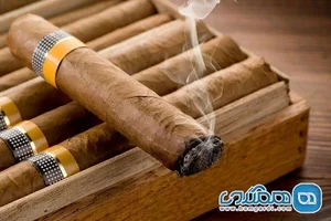 مرکز پخش و فروش دخانیات برگ
